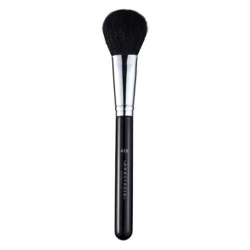 A19 Pro Brush - Blush Brush