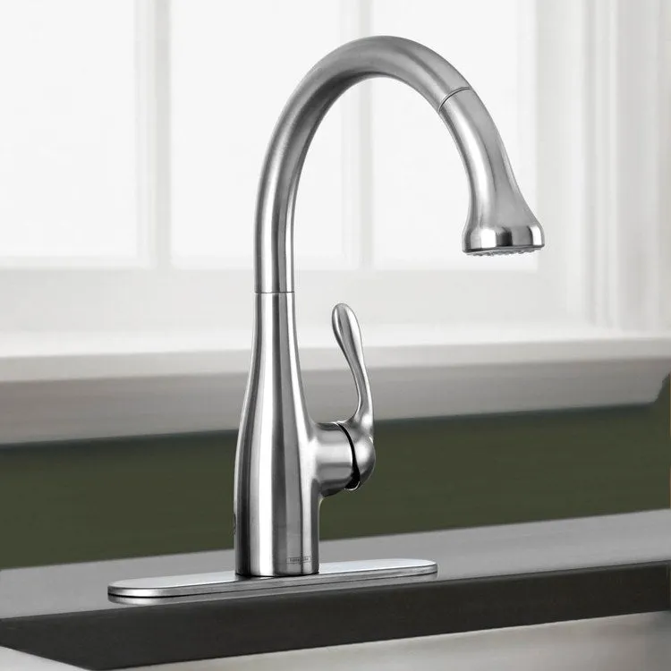 Allegro E Single Handle Pull Down Kitchen Faucet