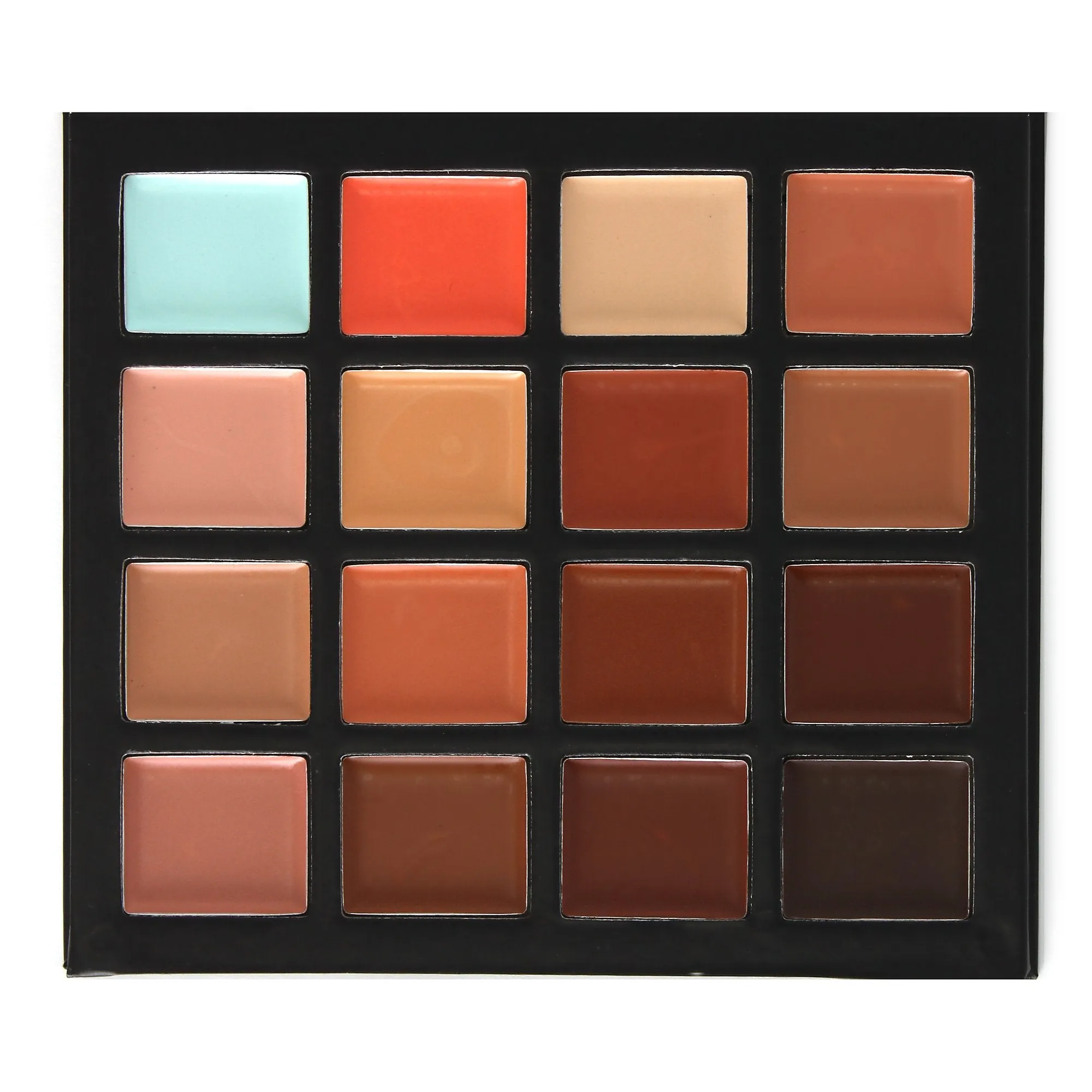Evanese Professional Beauty Makeup 16 Color Cream Concealer Palette CS16-1