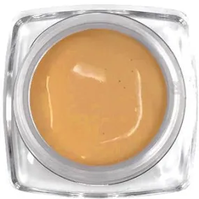 Honey Beige Health Glow Cream Foundation Sample Size