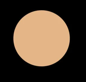 LIGHT TO MEDIUM BB CREAM