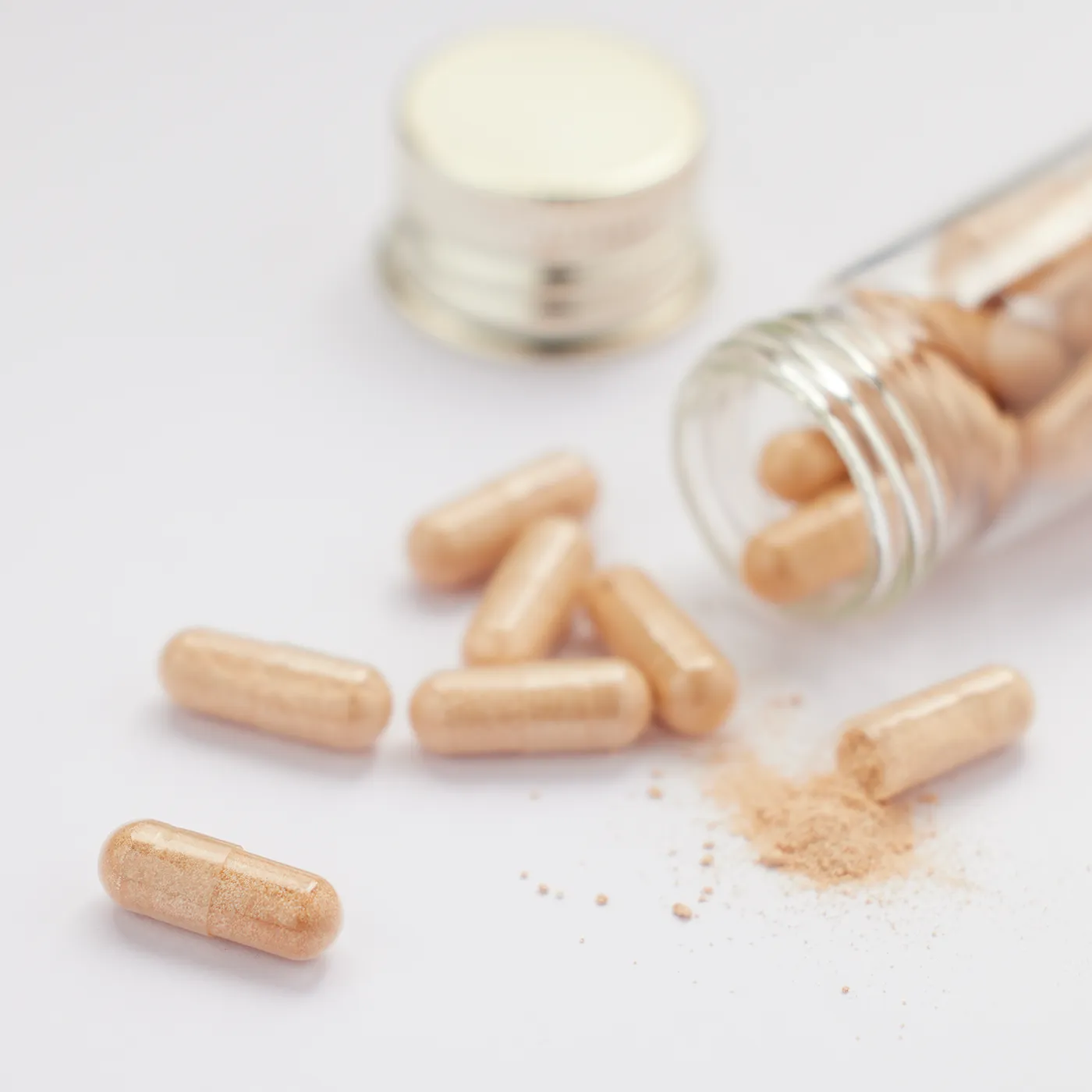 White Pine® - Pycnogenol®