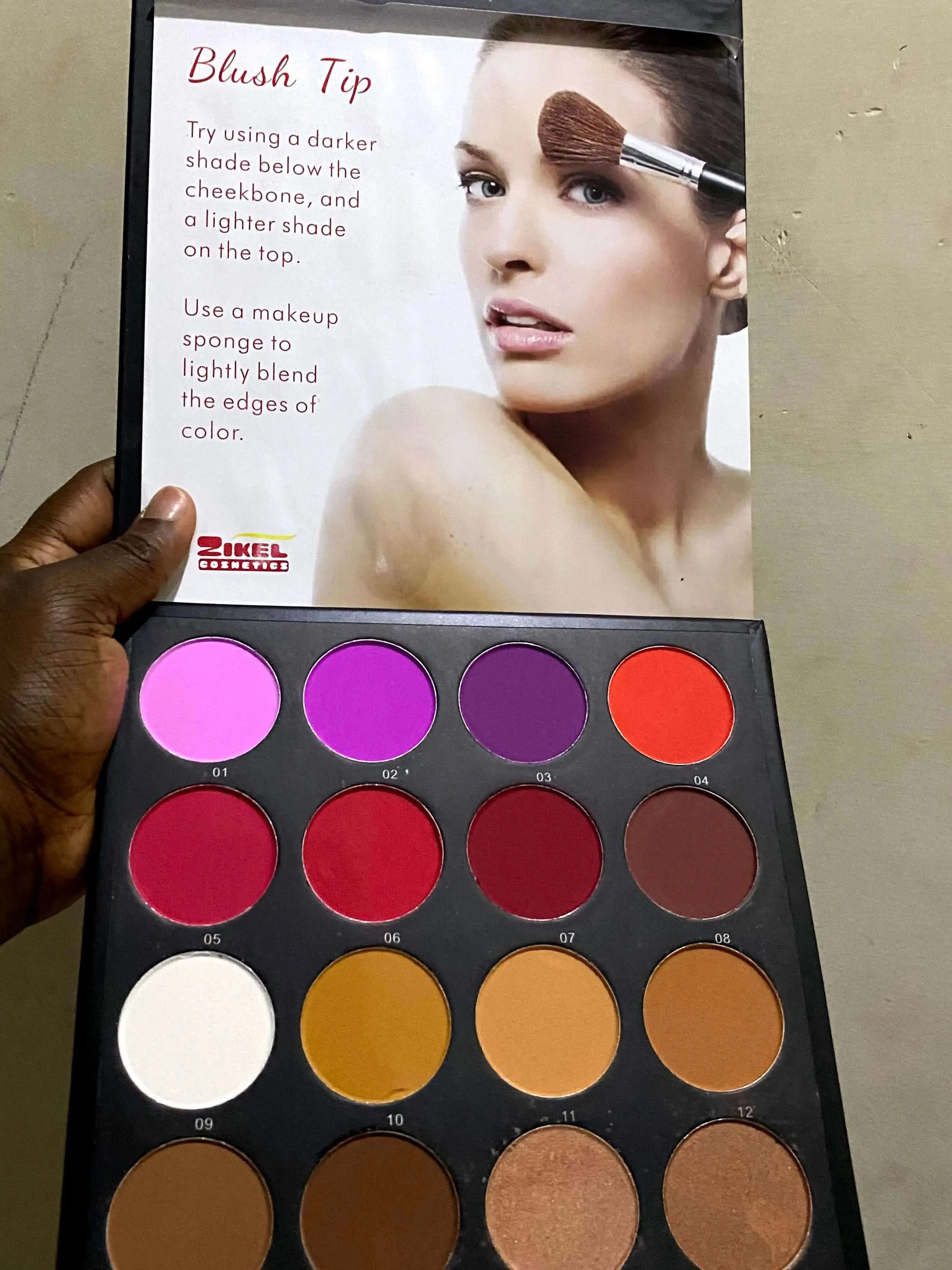 Zikel Blush Palette